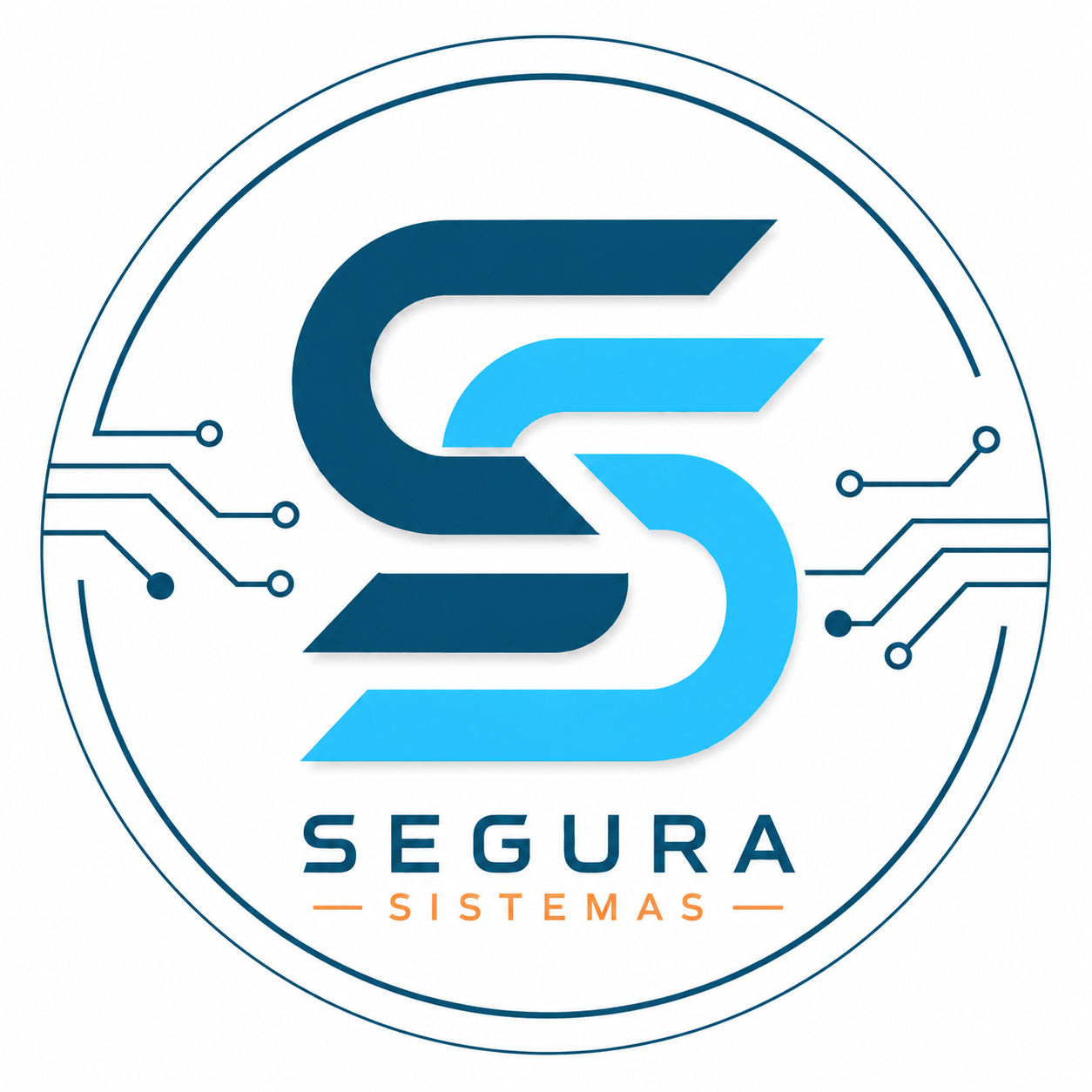 Segura Sistemas